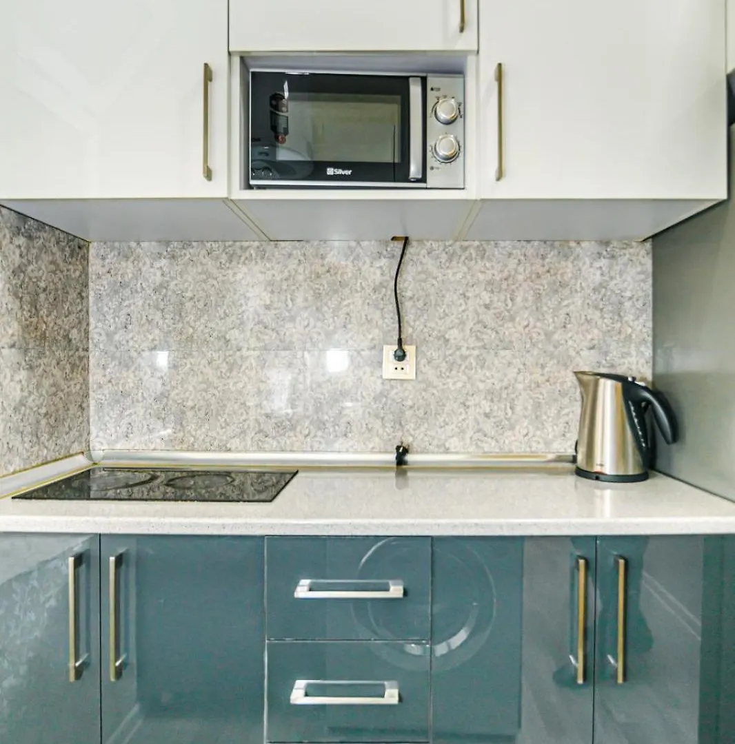 Your Nice Apartment 35 Baku